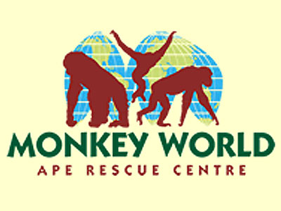 Monkey World