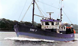 Fleur de Lys + Barge