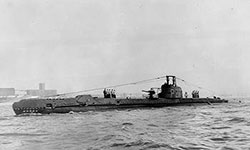 Safari Submarine