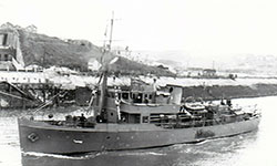 Sargasso HMS