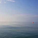 Copyright © Swanage Boat Charters Ltd
